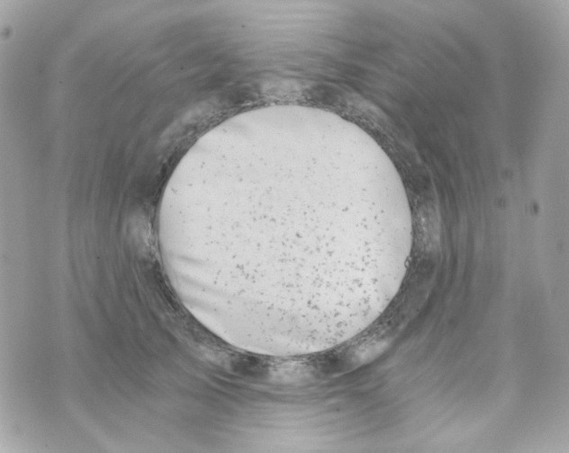 X0000069830705200606161940