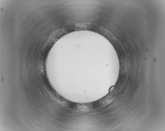 X0000069830706200606161940