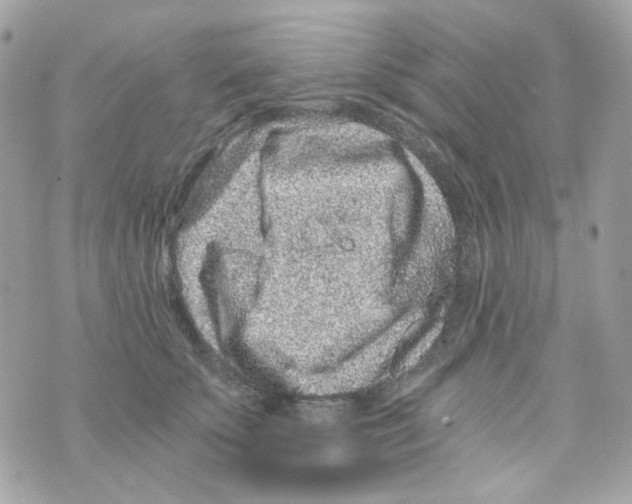 X0000069830707200606161940