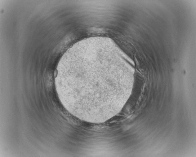 X0000069830708200606161940