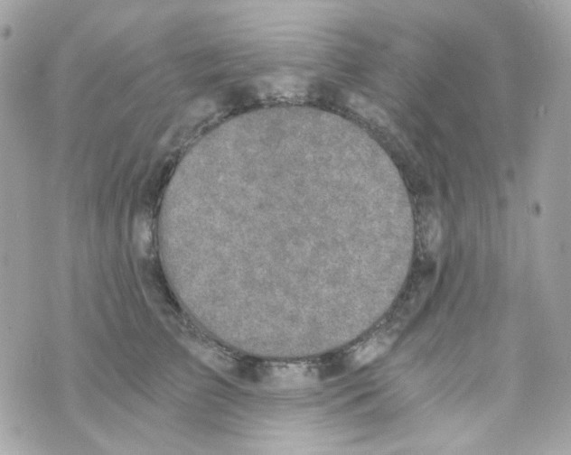 X0000069830709200606161940