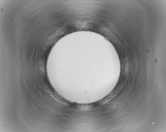 X0000069830710200606161940