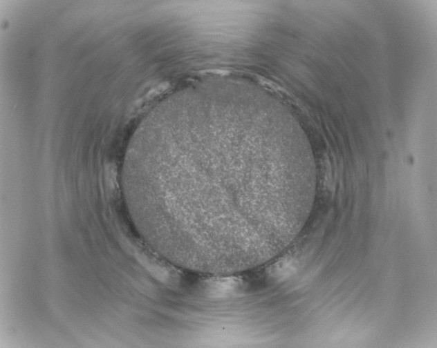 X0000069830711200606161940