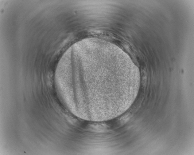 X0000069830712200606161940