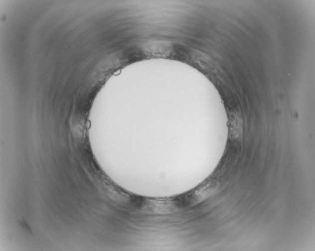 X0000069830713200606161940