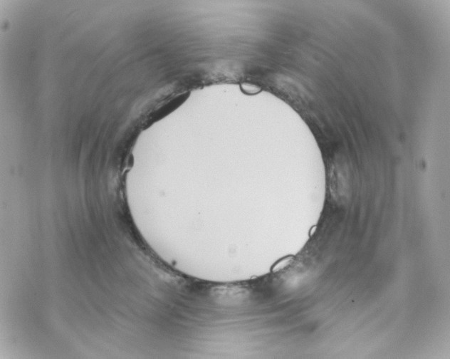 X0000069830714200606161940