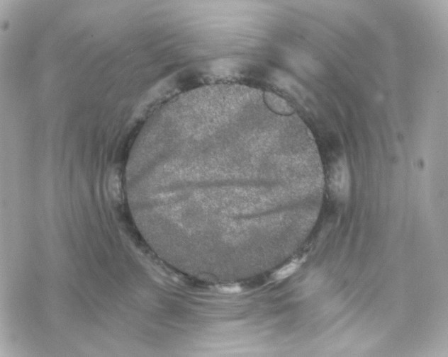 X0000069830715200606161940