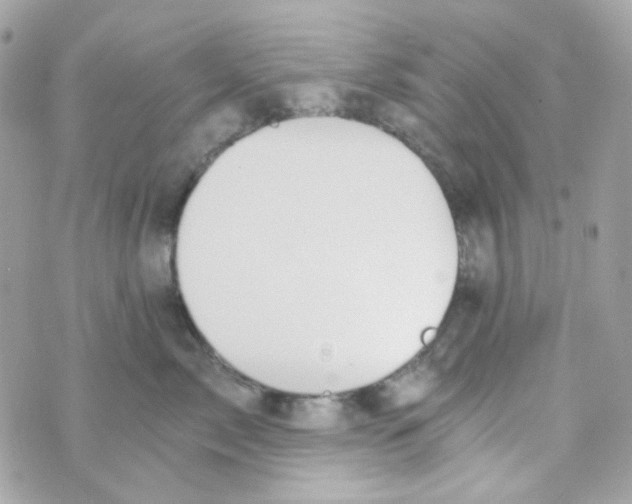 X0000069830717200606161940