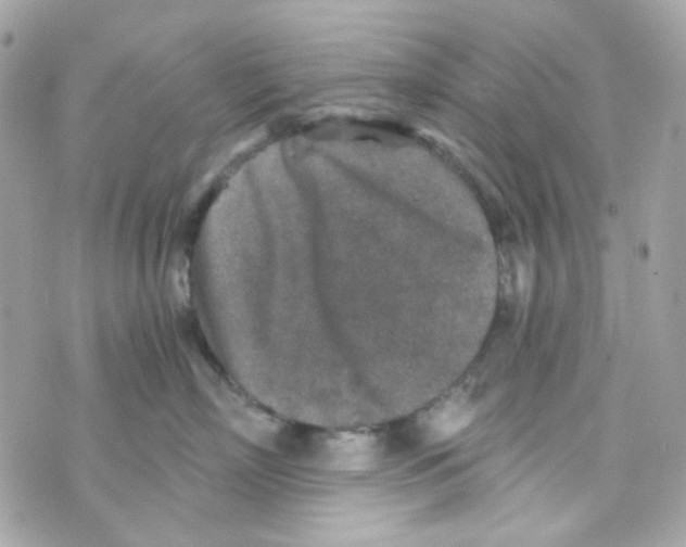 X0000069830718200606161940