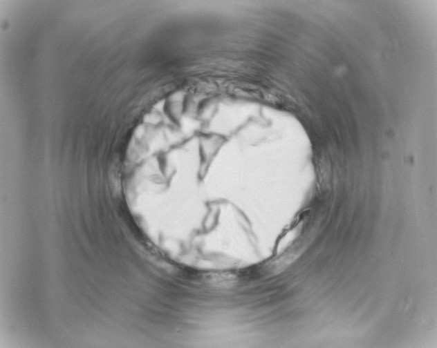 X0000069830719200606161940