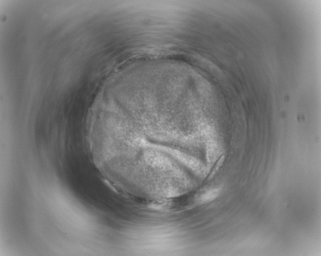 X0000069830720200606161940