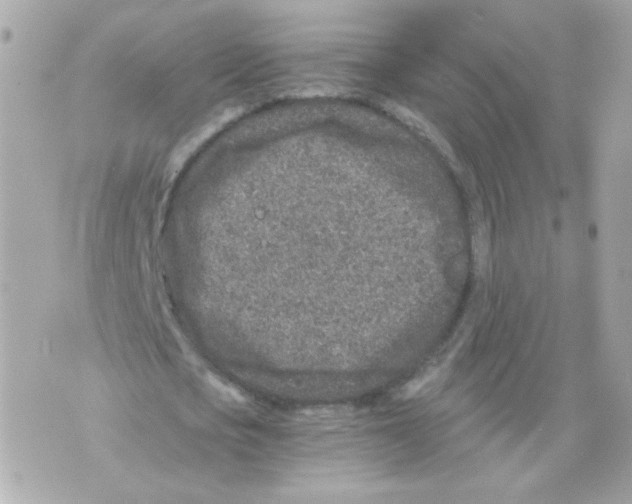 X0000069830721200606161939