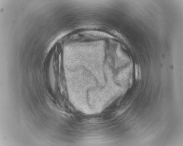 X0000069830723200606161939