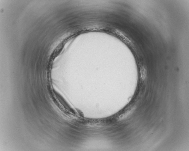 X0000069830725200606161939