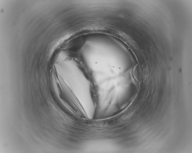 X0000069830727200606161940