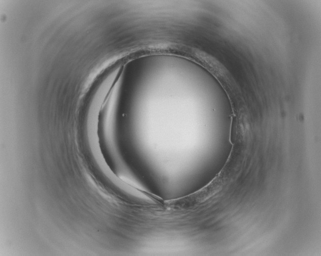 X0000069830728200606161940