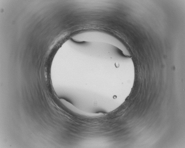 X0000069830731200606161940