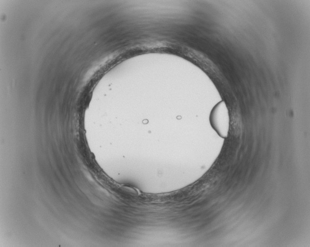 X0000069830732200606161940