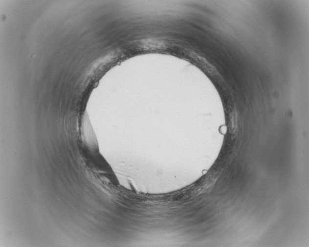 X0000069830733200606161940