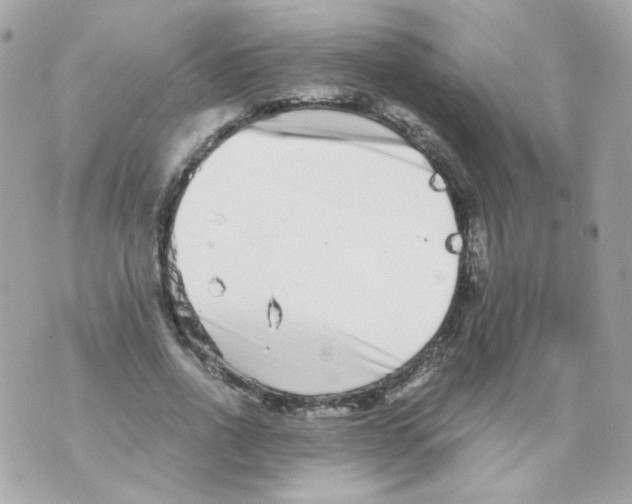 X0000069830734200606161940