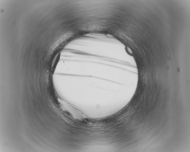 X0000069830735200606161940