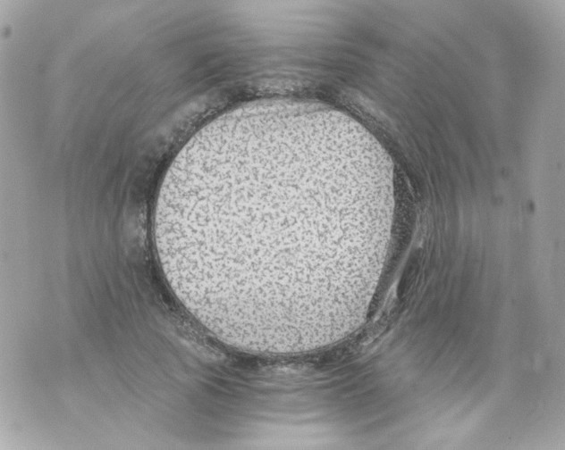 X0000069830737200606161940