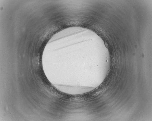 X0000069830739200606161940