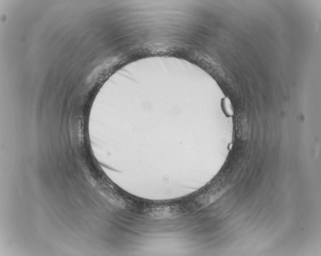 X0000069830740200606161940