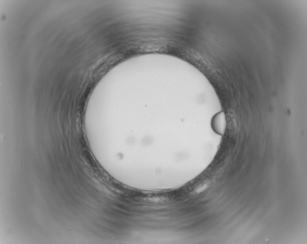 X0000069830741200606161940