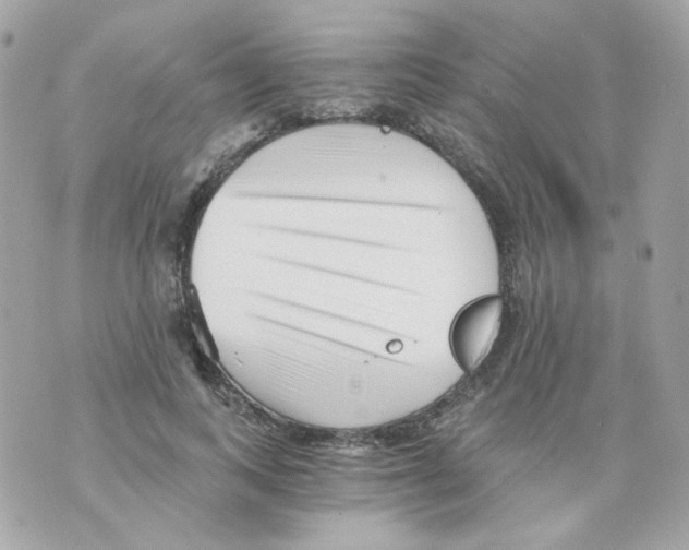 X0000069830743200606161940