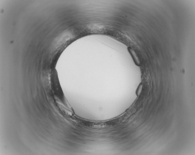 X0000069830744200606161940