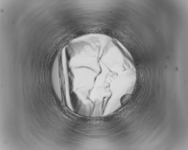 X0000069830745200606161940