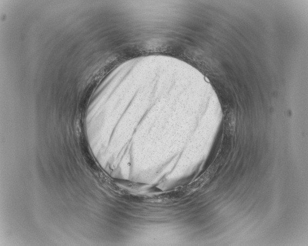 X0000069830746200606161940