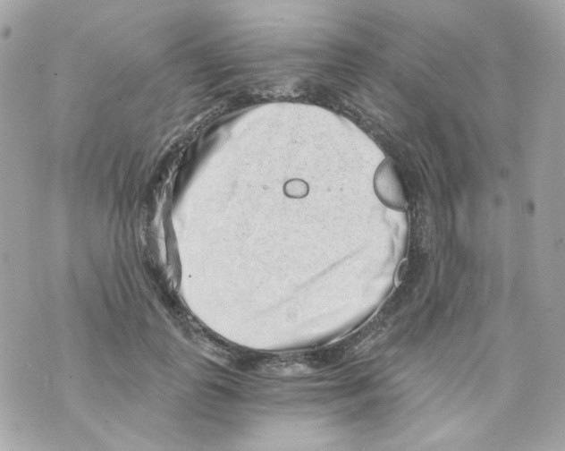 X0000069830747200606161940