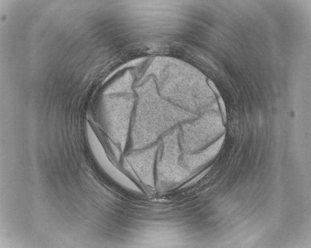 X0000069830748200606161940