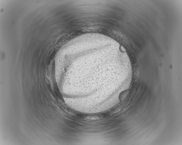 X0000069830749200606161940