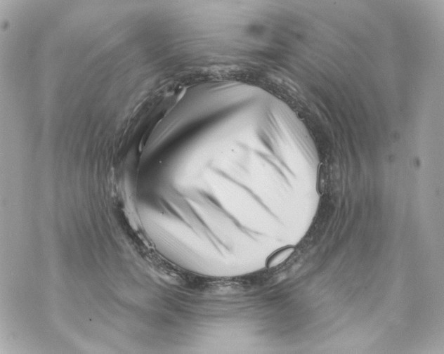 X0000069830750200606161940