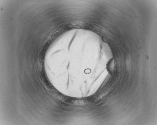 X0000069830751200606161940