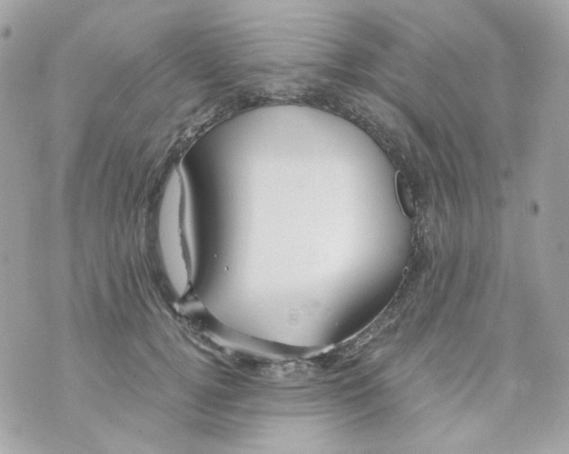 X0000069830752200606161940