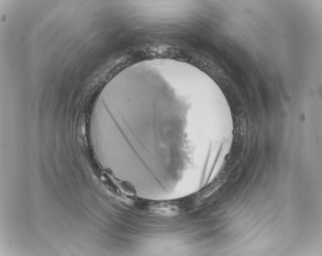 X0000069830754200606161940