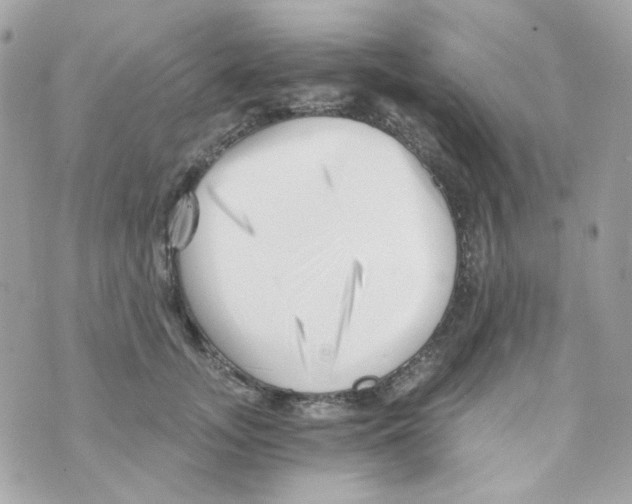 X0000069830755200606161940