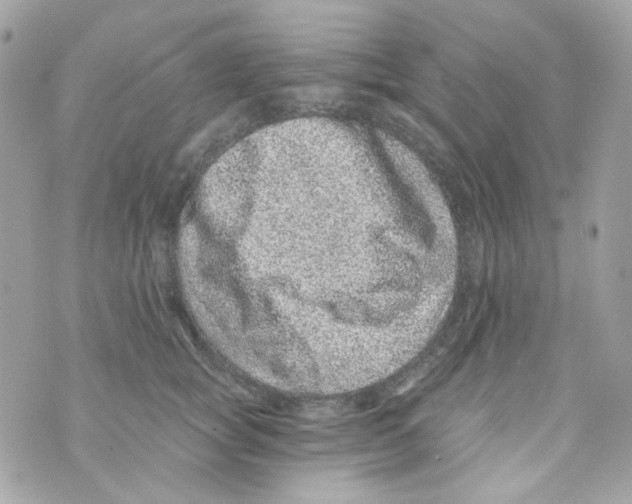 X0000069830757200606161940