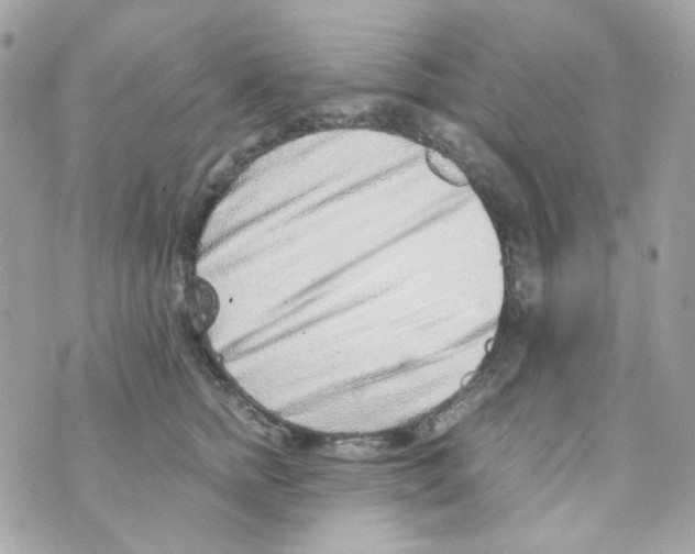 X0000069830758200606161940