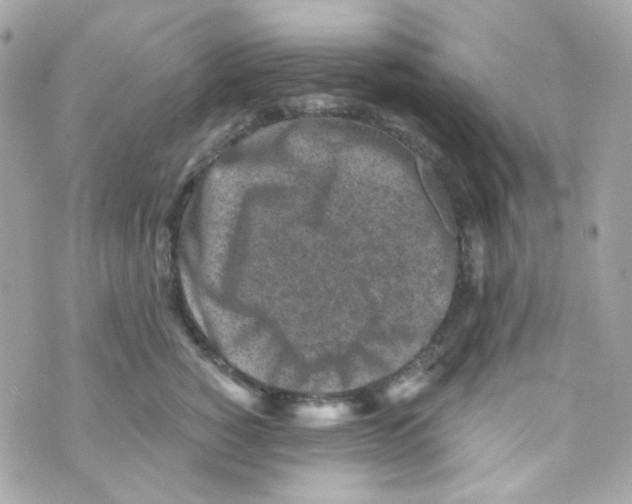 X0000069830760200606161940