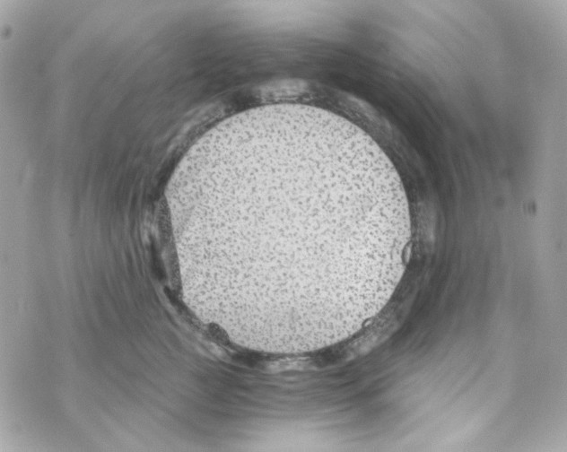 X0000069830761200606161940