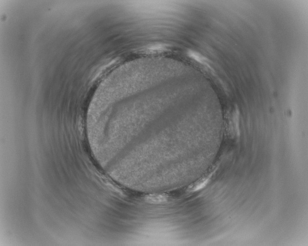 X0000069830762200606161940