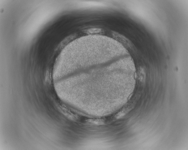 X0000069830763200606161940