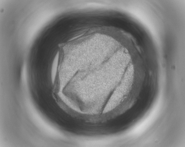 X0000069830765200606161940