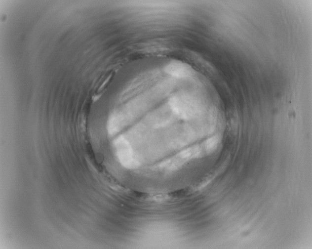 X0000069830767200606161940