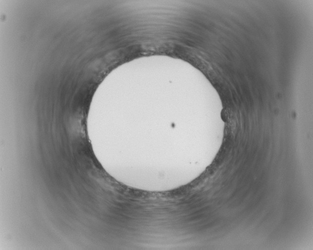 X0000069830770200606161939